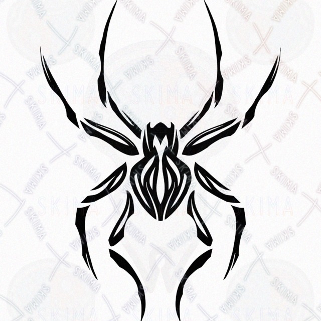 蜘蛛【15】- ロゴ/モチーフの商品画像3枚目