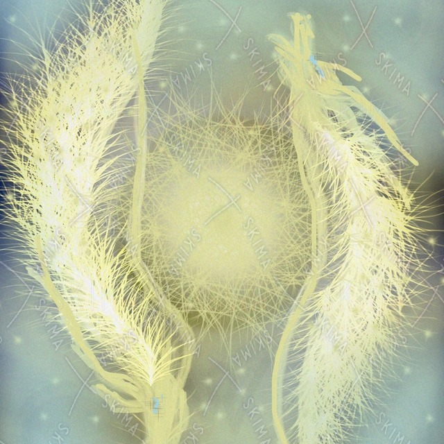 Twin Dragons 的商品圖片