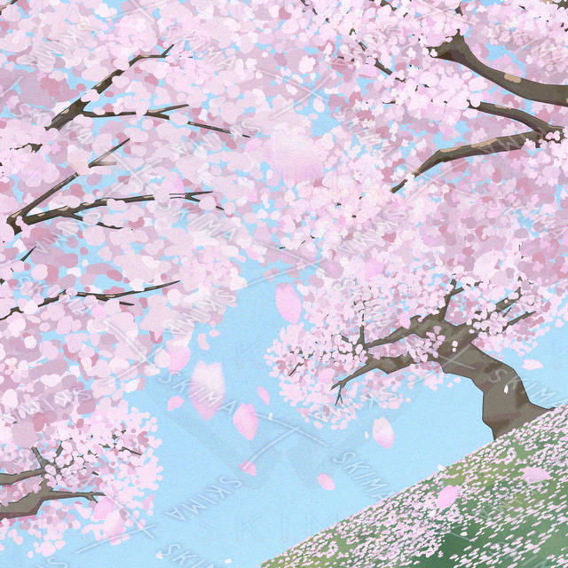 桜舞う丘　背景イラストの商品画像