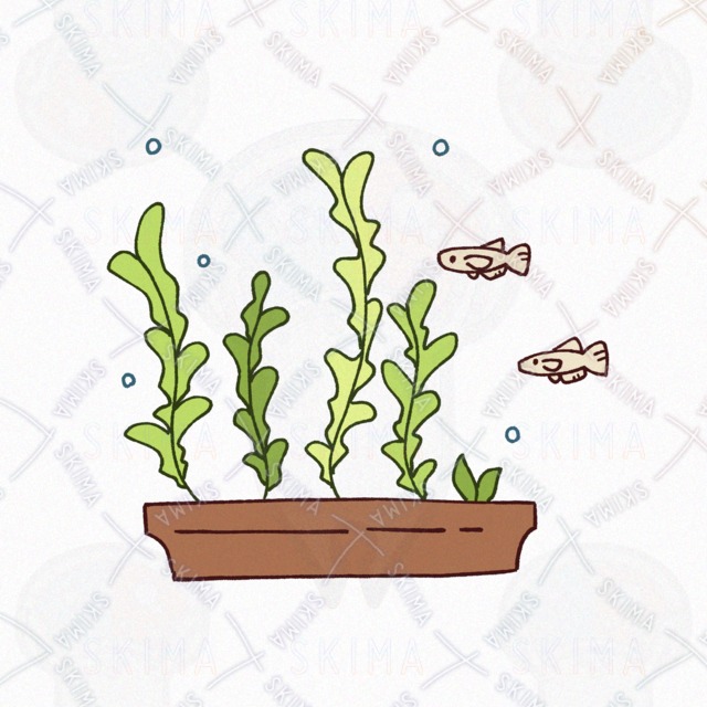 Image 2 of Aquatic Plants and Fish Icon