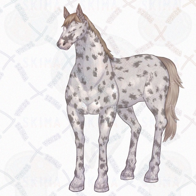 【ADOPTABLES】馬/斑毛/作業の商品画像3枚目