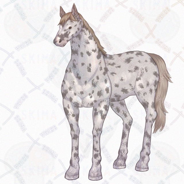 【ADOPTABLES】馬/斑毛/作業の商品画像2枚目