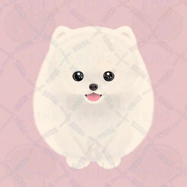 ポメラニアン【リアル調】