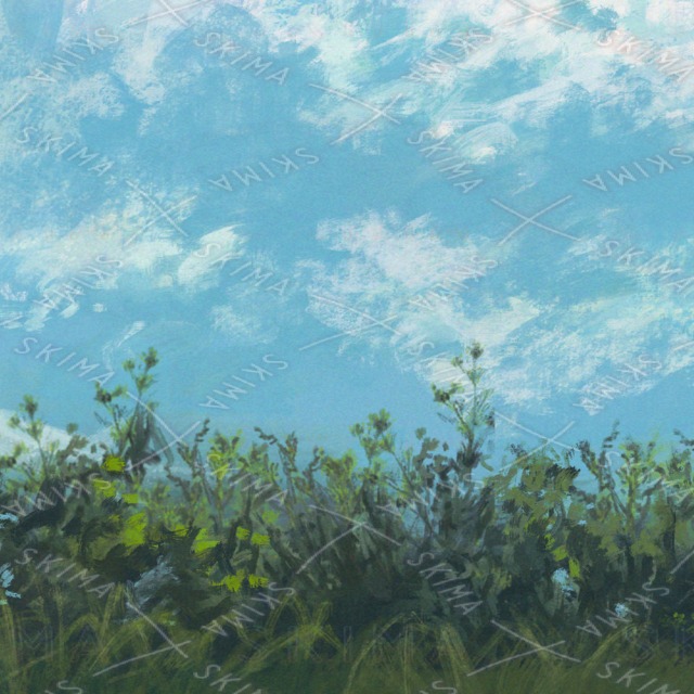 【背景イラスト販売】自然/青空/木/油絵風