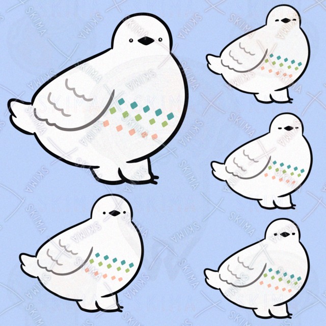 다이아 포함 라이초 (표정 5종) 상품 이미지