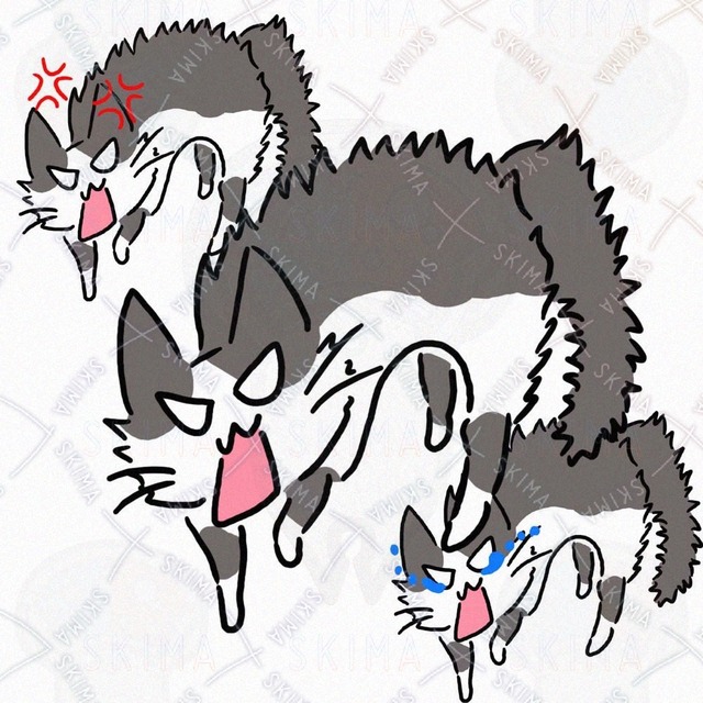 はちわれ猫のやんのかステップ