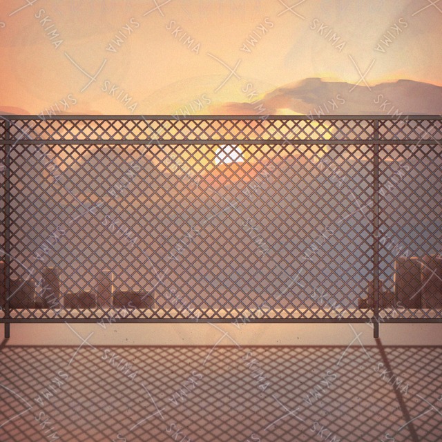 屋上