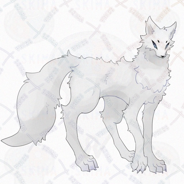 Image 3 of Wolf