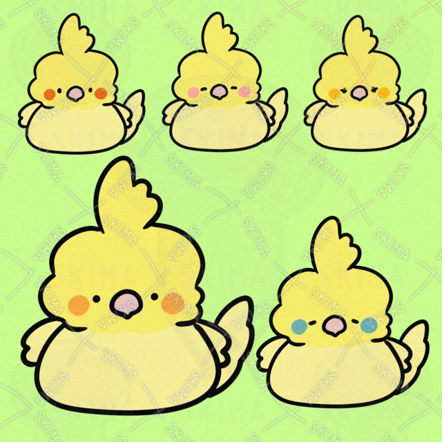 Image of Adorable Parakeet with Cheeky Expressions (5 Variations)