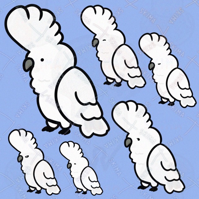 Image of White-crowned Parrot with Fixed Hairstyle (6 Expressions)