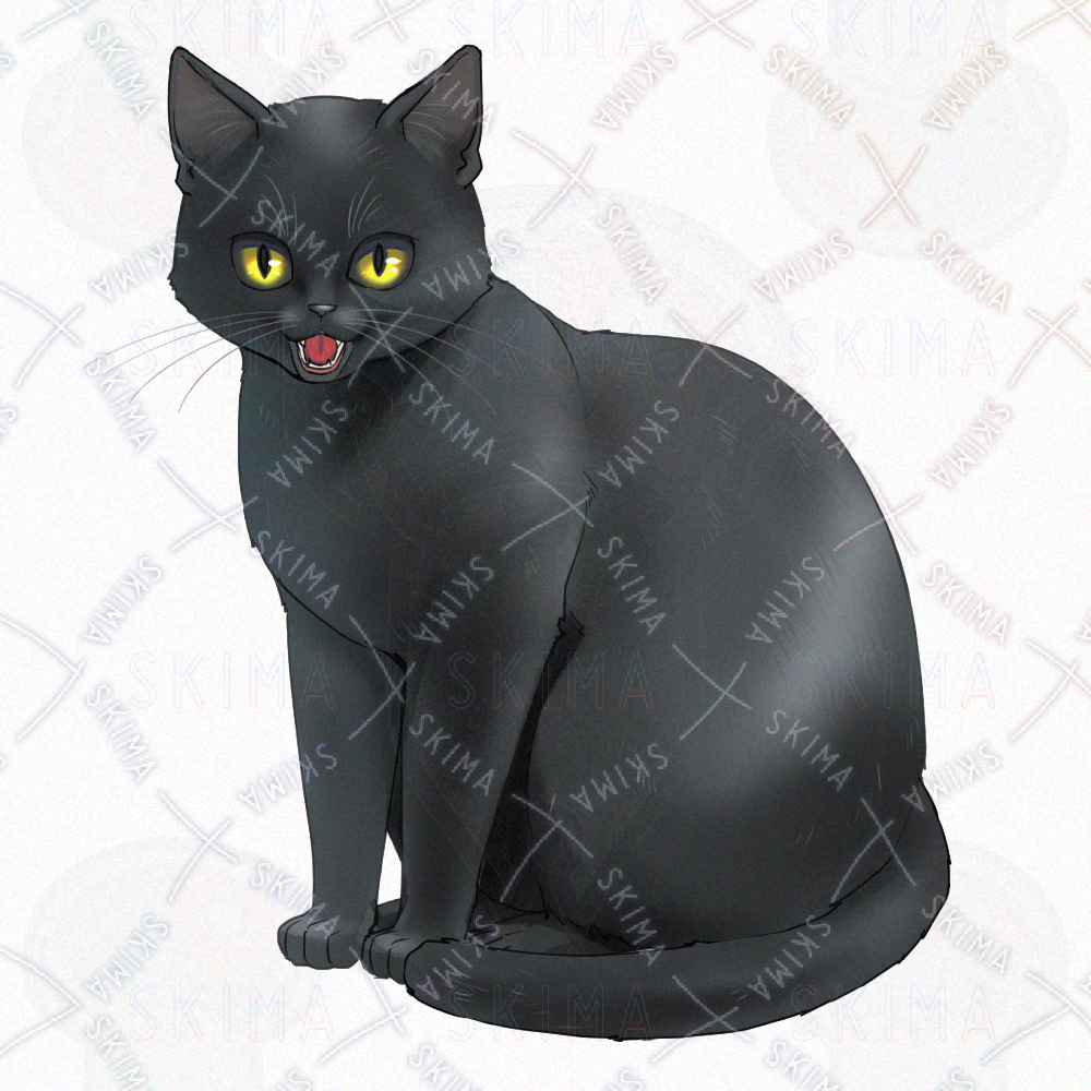 黒猫 差分5種 | SKIMA（スキマ）