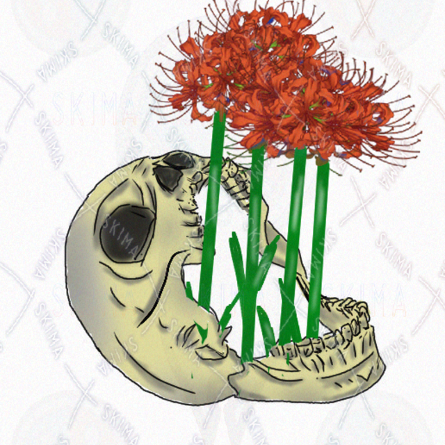 骨と花 骸骨彼岸花skeleton red spider lily | SKIMA（スキマ）