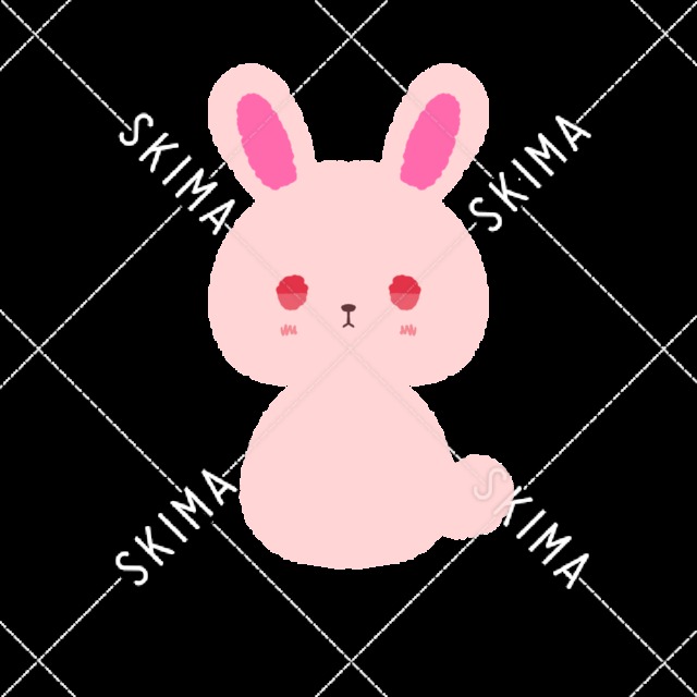 うさぎ 背景透過 色違いあり スキマ スキルのオーダーメイドマーケット Skima