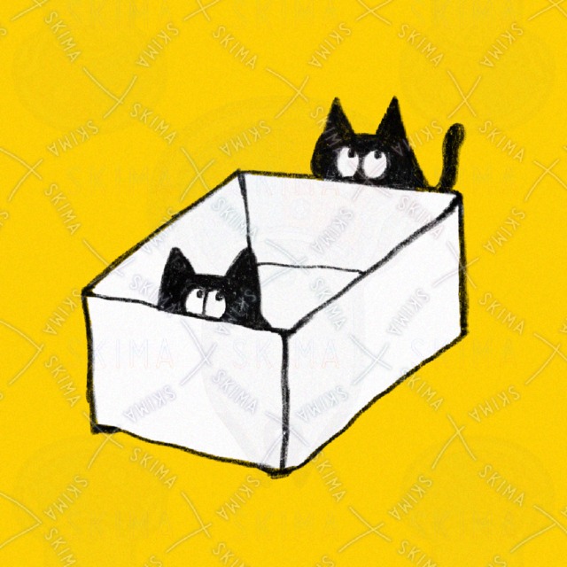 ハコネコアイコン