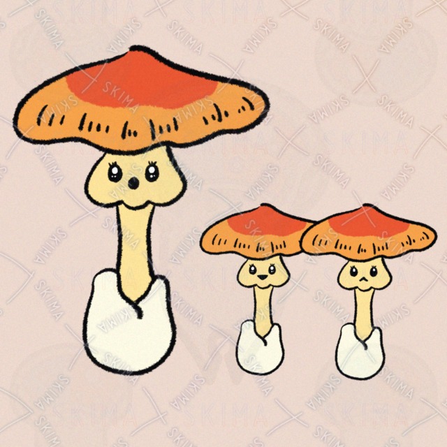 おめめきらきらたまごたけ（表情3種類）