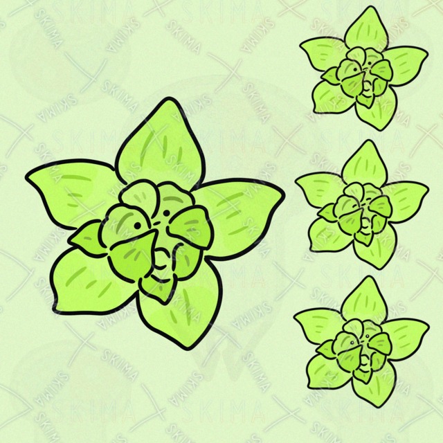 しゅうかくをまつふきのとう（表情4種類）