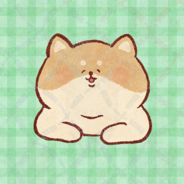 微笑む柴犬