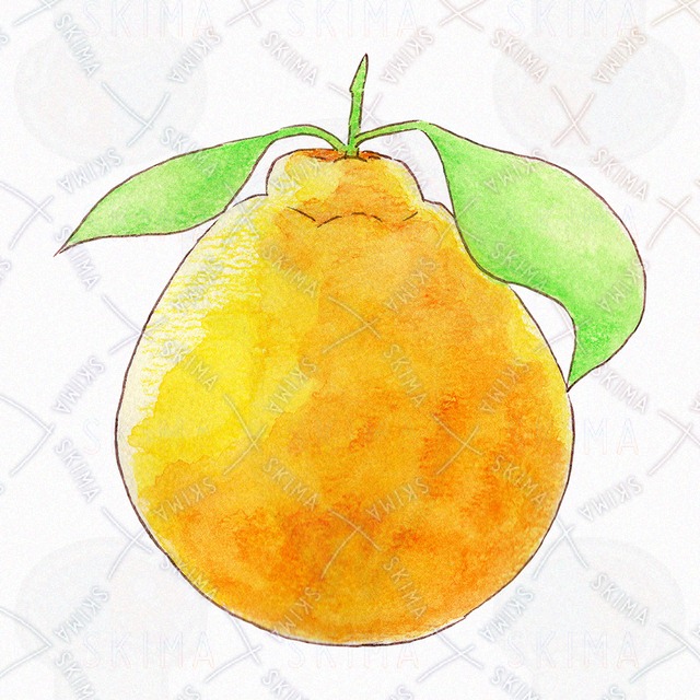 デコポン