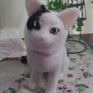 ペットちゃんそっくりドール（〜2色）