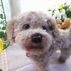 ペットちゃんそっくりドール（3色以上）