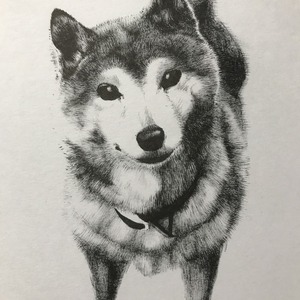 ホットマン セール 筆ペンでペットの肖像画を描きます！ | SKIMA（スキマ） イラスト