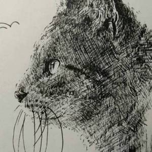 色鉛筆画・ボールペン画 動物