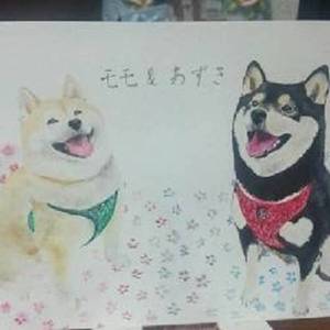 どんな動物でもお任せください！動物の似顔絵お描きいたします