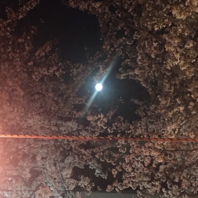 お手軽☆タロット占い