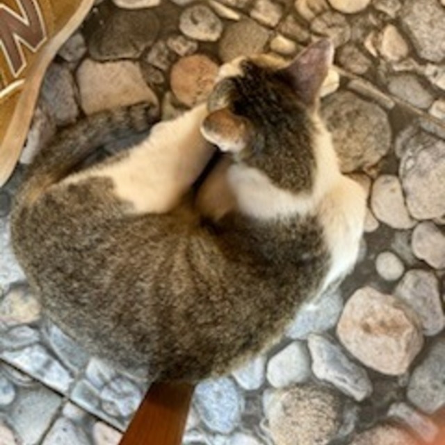 「シンプル、でも印象に残る」