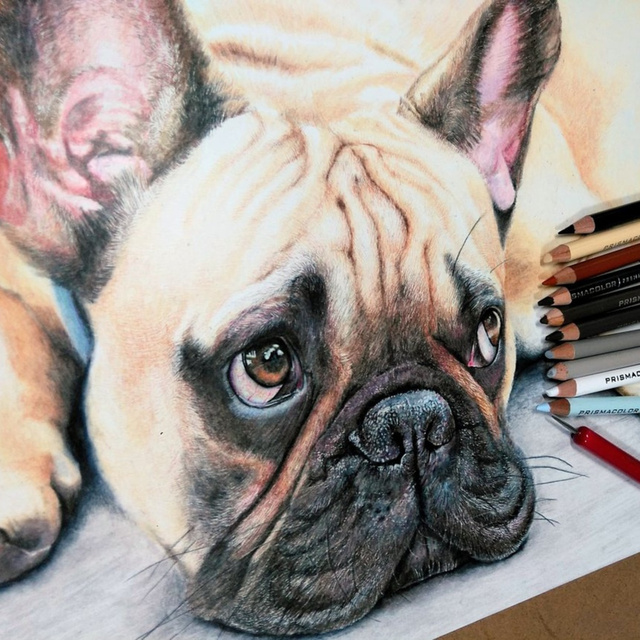 あなたの相棒（ペット）の似顔絵を描かせていただきます！