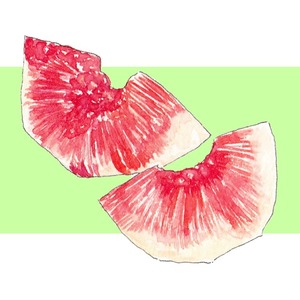 食べ物のイラスト描きます（SNSアイコン、表紙、挿絵などに！）