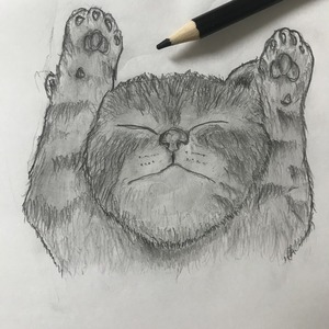 描いて欲しいと思うデッサンを描きます。