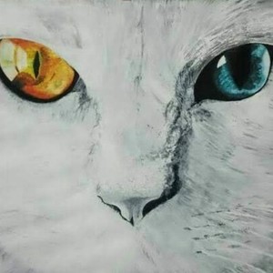 ペットの似顔絵制作