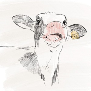 ペット　動物イラスト(デジタル)