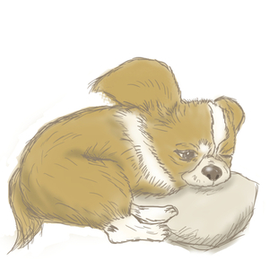 ペットのイラスト描きます！