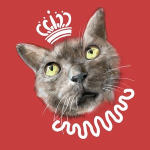 リアルな猫のSNSアイコン