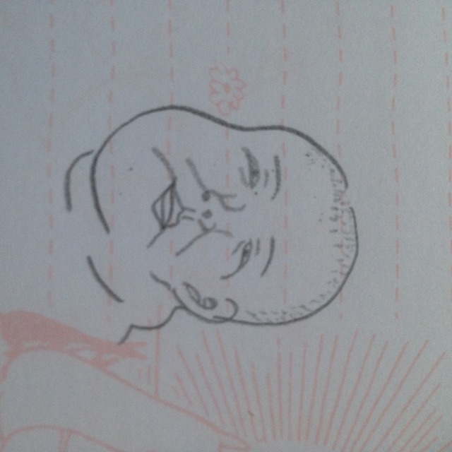 へんな生き物たち