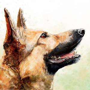 ペットのイラストお描きします！