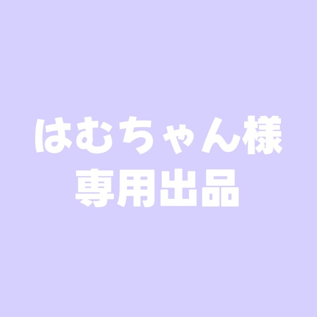 はむちゃん様専用出品 | スキマ - イラスト依頼・opt販売ならSKIMA