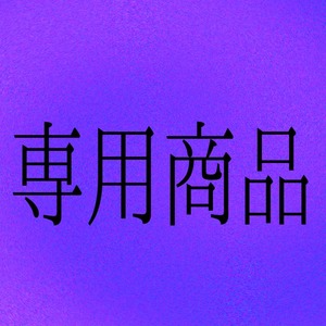 ご依頼者さま専用出品品 専用ページ | SKIMA（スキマ）