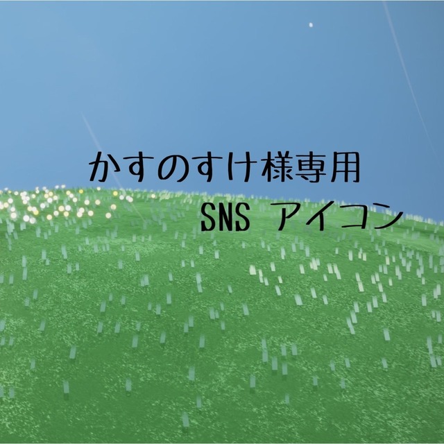 かすのすけ様専用