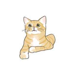 お気に入りのペットの写真描きます^._.^