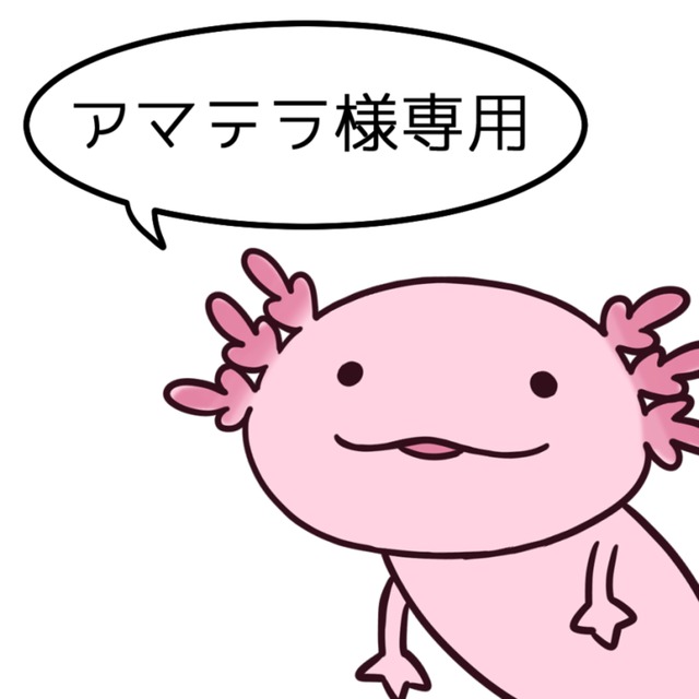 アマテラ様専用Live2D用キャラクターデザイン