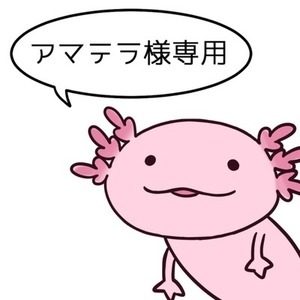 アマテラ様専用Live2D用キャラクターデザイン