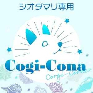 シオダマリ専用