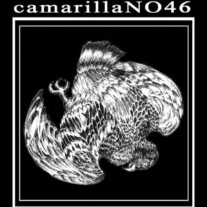 SNSアイコン描きます