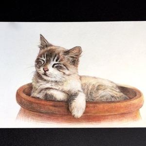 ペットの肖像画(原画販売、手描き)オーダーメイド 色鉛筆画2L判size ペットの肖像画(原画販売、手描き)オーダーメイド 色鉛筆画2L判size