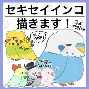 かわいいセキセイインコ描きます