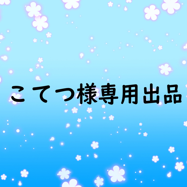 こてつ様専用出品 | SKIMA（スキマ）