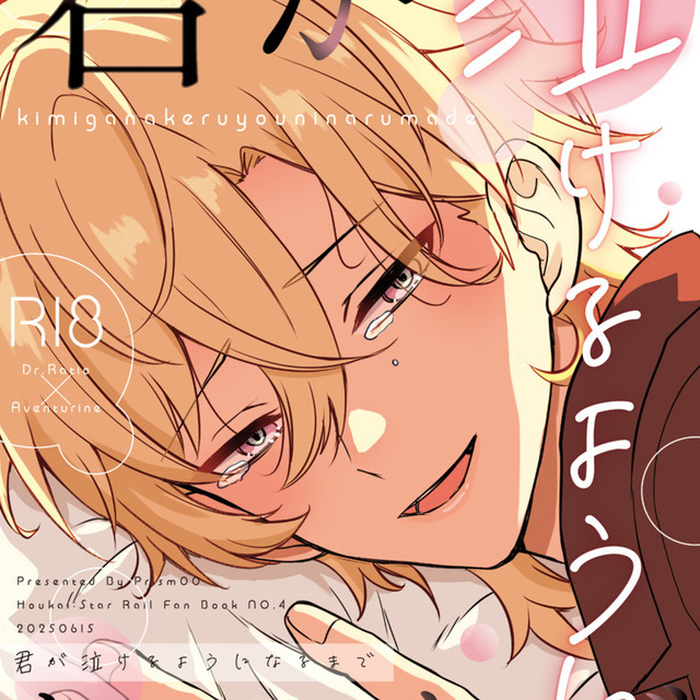 同人誌表紙デザイン(リテイクなし完全おまかせプラン)